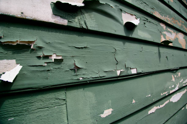 Best Stone Veneer Siding  in Creedmoor, NC