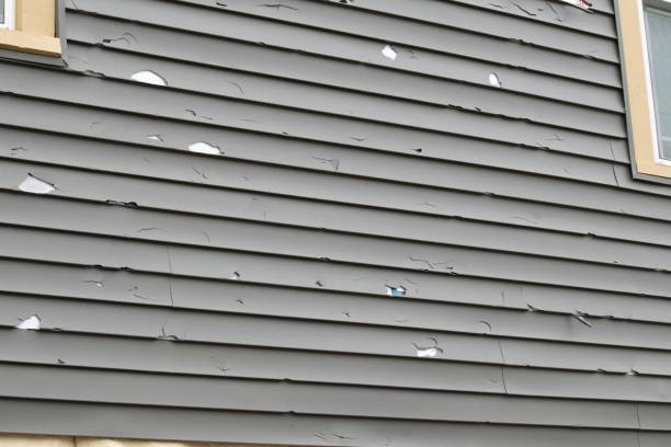Best Stucco Siding  in Creedmoor, NC