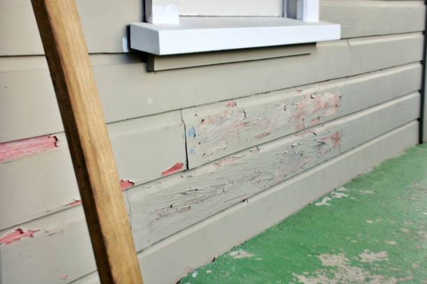 Best Fiber Cement Siding Installation  in Creedmoor, NC