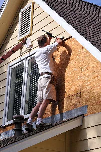 Best Custom Trim and Detailing for Siding  in Creedmoor, NC